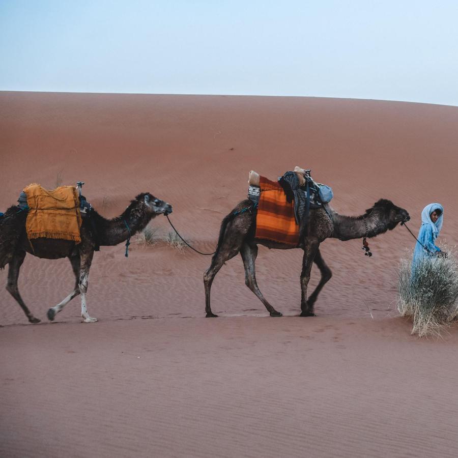 Camel Luxury Camp Bed & Breakfast Merzouga Ngoại thất bức ảnh
