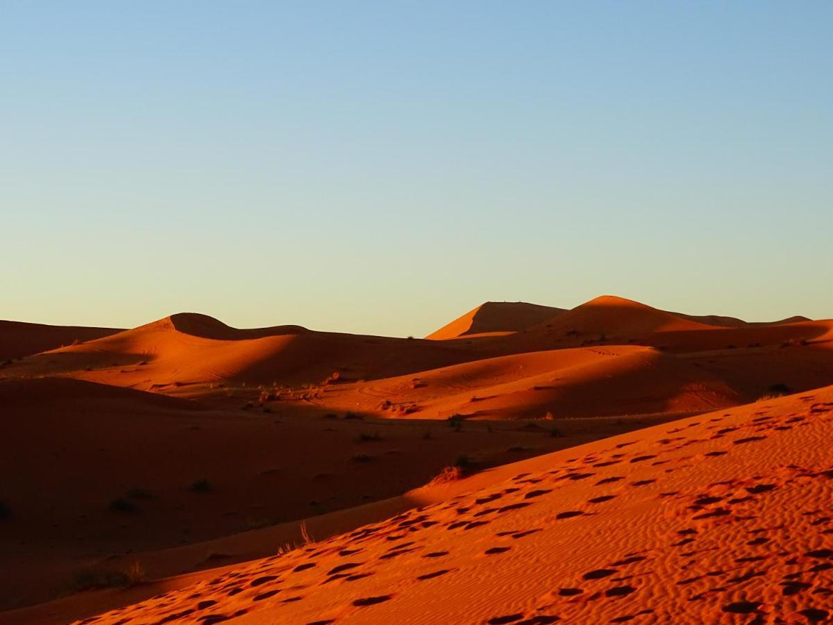 Camel Luxury Camp Bed & Breakfast Merzouga Ngoại thất bức ảnh