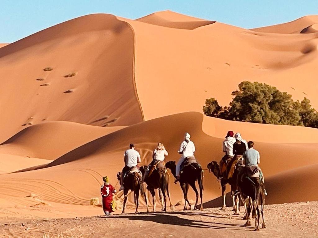 Camel Luxury Camp Bed & Breakfast Merzouga Ngoại thất bức ảnh